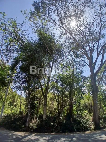 image TANAH 500 M² LOKASI STRATEGIS (1)