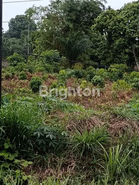 image TANAH DISAMPING PASENTREN (4)