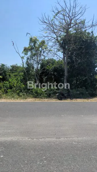 TANAH 9300M² DI BYPASS PANDAWA - IDEAL UNTUK RESORT & KOMERSIAL