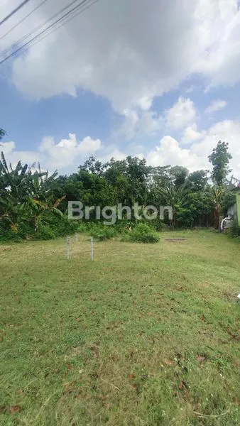 image TANAH MURAH DI 0 JL RAYA KEDIRI KERTOSONO KEDIRI JAWA TIMUR (4)