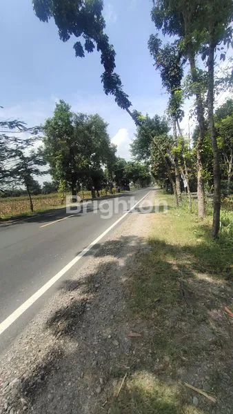 image TANAH MURAH DI PURWOASRI 0 JL RAYA KEDIRI KERTOSONO KEDIRI JAWATIMUR (1)
