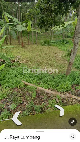 image TANAH KEBUN DURIAN – SUKAPURA, BROMO (2)