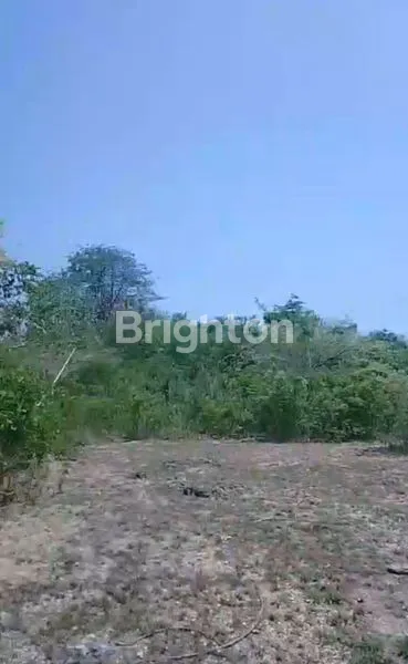 image TANAH STRATEGIS 4 ARE SIAP BANGUN DI KUTUH KUTA SELATAN (5)