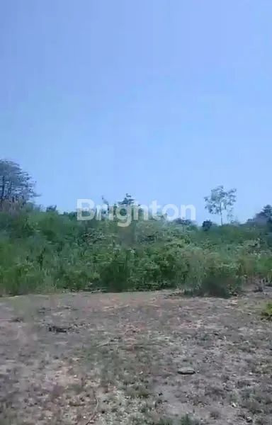 image TANAH STRATEGIS 4 ARE SIAP BANGUN DI KUTUH KUTA SELATAN (4)