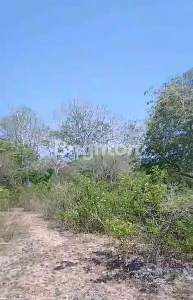 image TANAH STRATEGIS 4 ARE SIAP BANGUN DI KUTUH KUTA SELATAN (6)