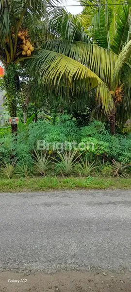 TANAH / LAHAN PREMIUM PEKANBARU CORET