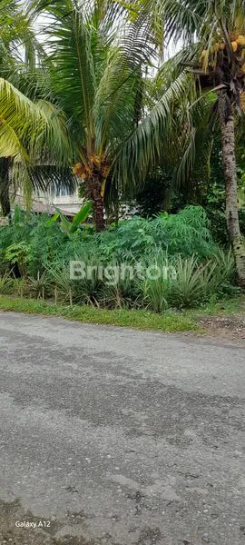 image TANAH / LAHAN PREMIUM PEKANBARU CORET (5)