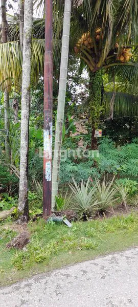 image TANAH / LAHAN PREMIUM PEKANBARU CORET (3)