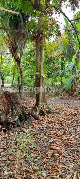 image TANAH / LAHAN PREMIUM PEKANBARU CORET (4)