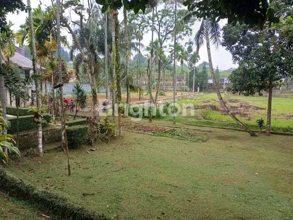 image TANAH PUNCAK JL RAYA (4)