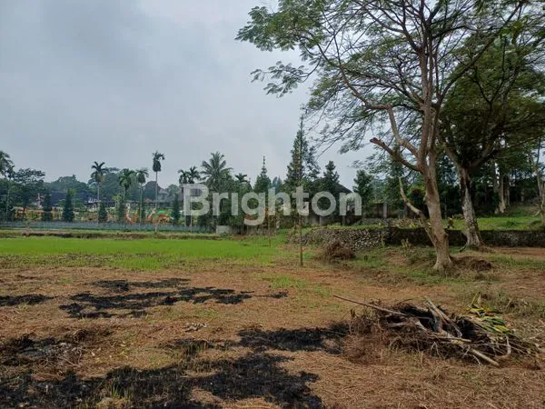 image TANAH PUNCAK JL RAYA (1)