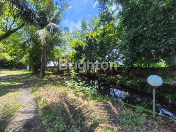 image TANAH JL.JAMIN GINTING PREMIUM 8250M² DI JAMIN GINTING, COCOK UNTUK BISNIS (2)