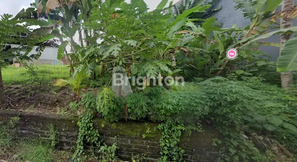 5.53 ARE LAND FOR SALE