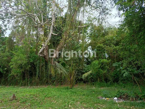 image TANAH 5800M² LOS SUNGAI DI BERABAN - IDEAL UNTUK VILLA & WATER SPORT (5)