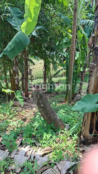 image TANAH 8000 M² DEPAN TAMAN BUAH MEKARSARI (2)