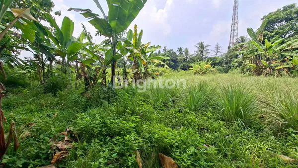 image TANAH 8000 M² DEPAN TAMAN BUAH MEKARSARI (3)