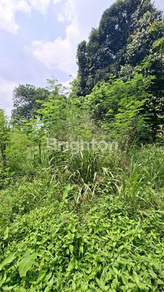 image TANAH 8000 M² DEPAN TAMAN BUAH MEKARSARI (6)