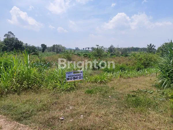 image DIJUAL TANAH BEKAS PETERNAKAN AYAM (1)