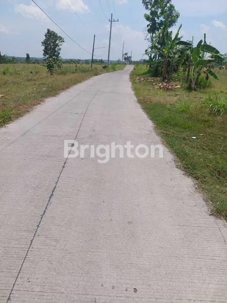 image DIJUAL TANAH BEKAS PETERNAKAN AYAM (3)