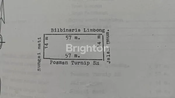 image SAWAH PRODUKTIF  (3)