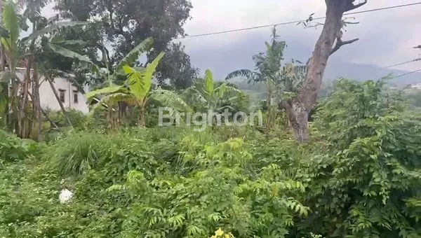 image DIJUAL TANAH DAERAH PRIGEN – PASURUAN \UD83C\UDF3F (2)