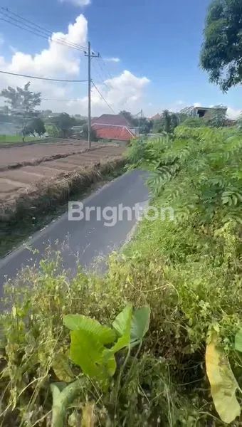 image DIJUAL TANAH DAERAH PRIGEN – PASURUAN \UD83C\UDF3F (3)