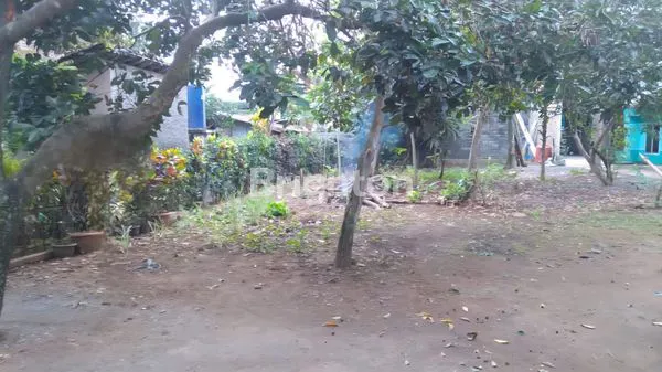 image TANAH DI KALI PEPE PUDAK PAYUNG (1)