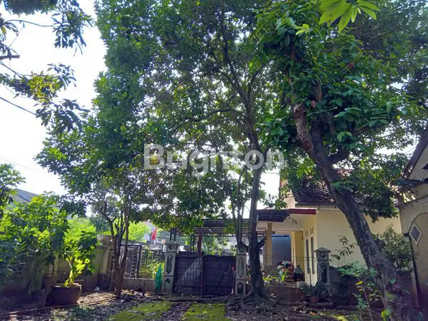 image RUMAH TENANG..NYAMAN DI CISAUK .TANGERANG DIJUAL (5)