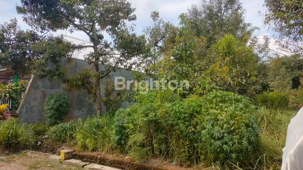 image TANAH KOSONG DAERAH SUTOJAYAN, KRAJAN PAKISAJI, KAB. MALANG (5)