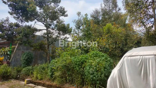 image TANAH KOSONG DAERAH SUTOJAYAN, KRAJAN PAKISAJI, KAB. MALANG (4)