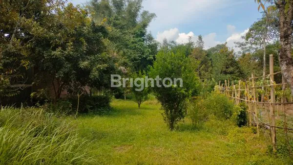 image TANAH KOSONG DAERAH SUTOJAYAN, KRAJAN PAKISAJI, KAB. MALANG (1)