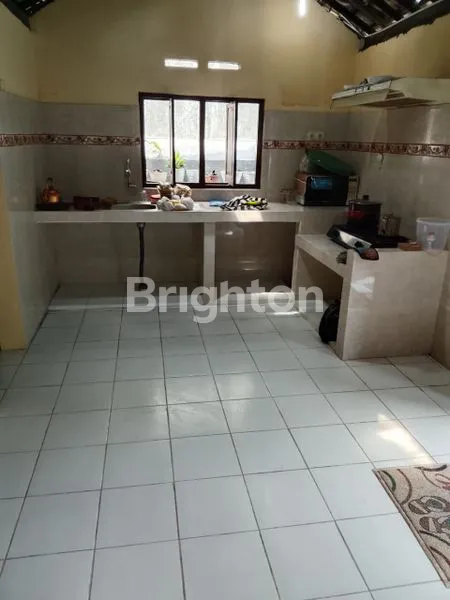 image RUMAH MEWAH 150M² DI JALAN UTAMA BLITAR, HALAMAN LUAS 381M² (2)