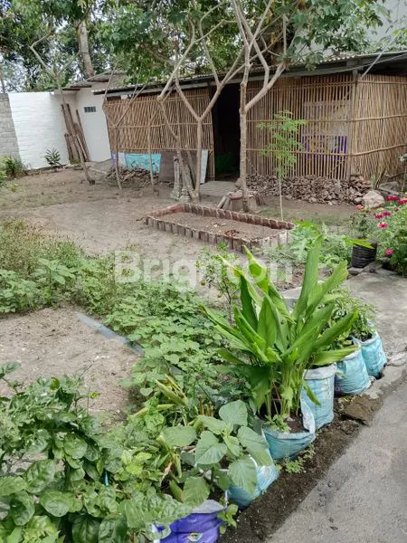 image RUMAH MEWAH 150M² DI JALAN UTAMA BLITAR, HALAMAN LUAS 381M² (3)