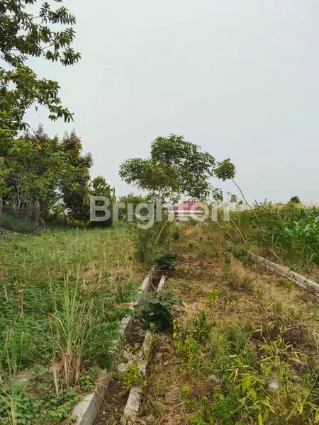 image TANAH SIANTAR (2)