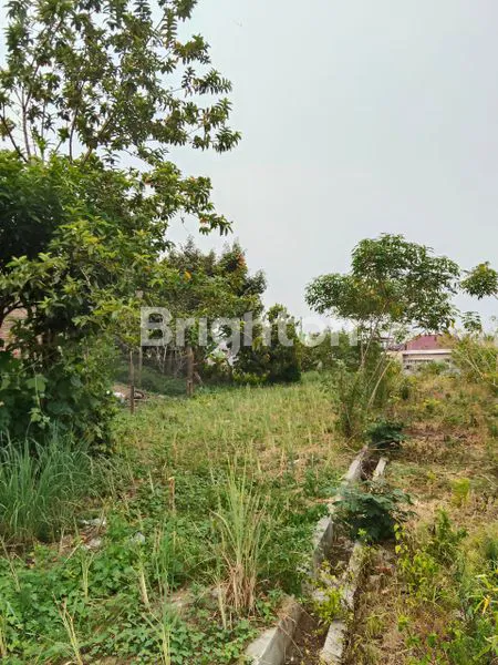 image TANAH SIANTAR (1)