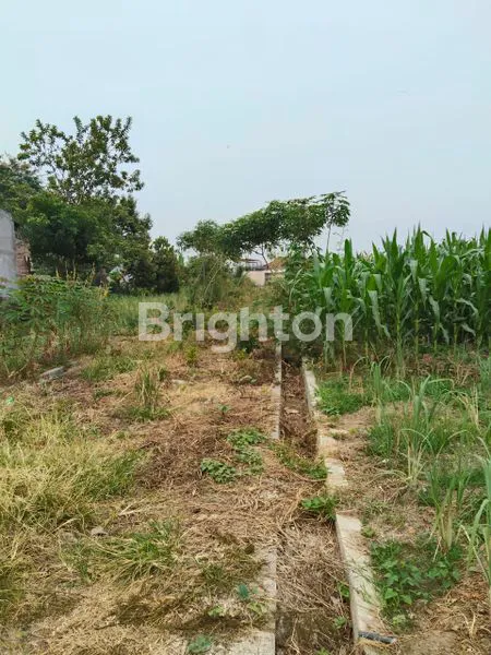 image TANAH SIANTAR (5)