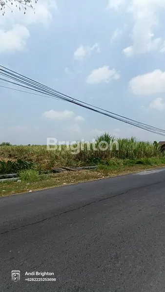 image TANAH SAWAH PINGGIR JALAN DI PERAK JOMBANG (5)