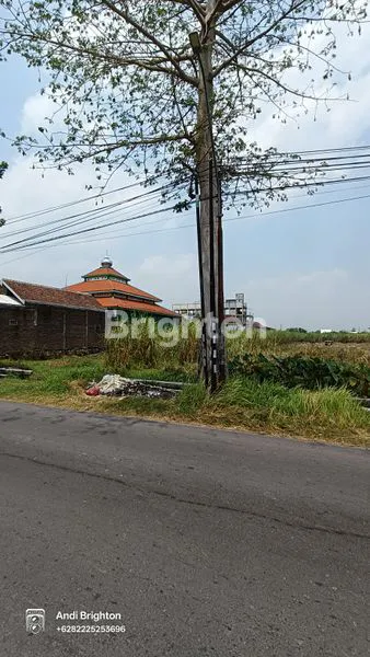 image TANAH SAWAH PINGGIR JALAN DI PERAK JOMBANG (3)