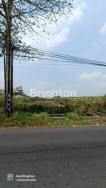 image TANAH SAWAH PINGGIR JALAN DI PERAK JOMBANG (4)