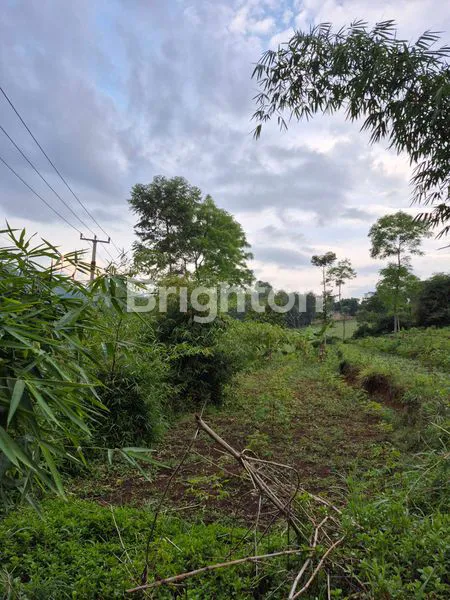 image TANAH LUAS 2100M  JL BANJARAN PINGGIR SARI (2)