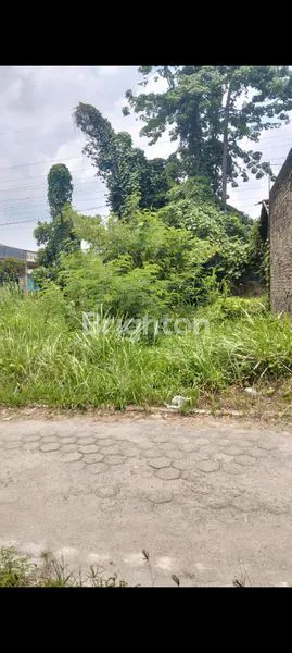 image DI JUAL TANAH KOSONG  (1)