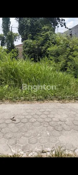 image DI JUAL TANAH KOSONG  (4)