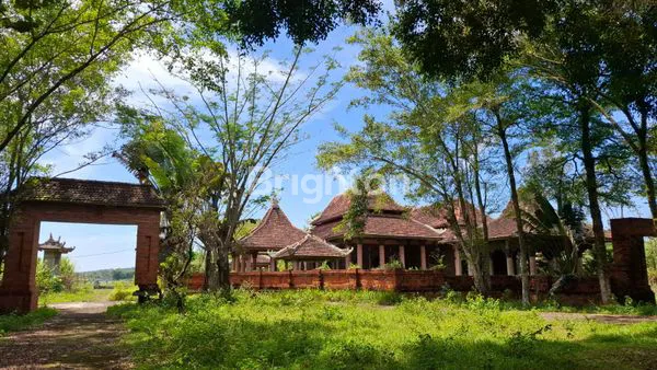 image JUAL STUDIO ALAM KOLOSAL (6)