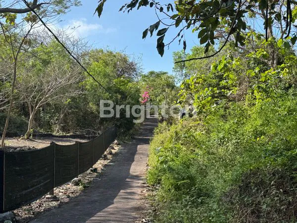image TANAH 40 ARE ZONA HOLTIKULTURA LOKASI PREMIUM DI NUSA DUA BALI (1)
