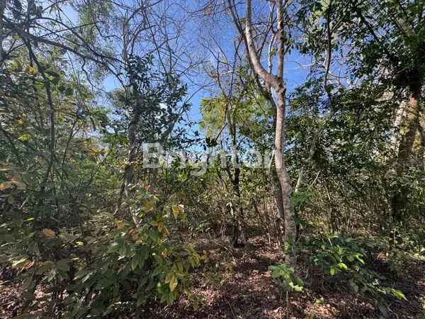 image TANAH 40 ARE ZONA HOLTIKULTURA LOKASI PREMIUM DI NUSA DUA BALI (3)