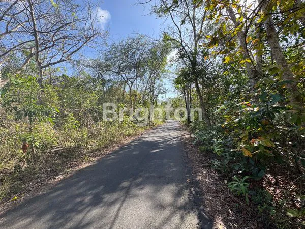 image TANAH 40 ARE ZONA HOLTIKULTURA LOKASI PREMIUM DI NUSA DUA BALI (5)