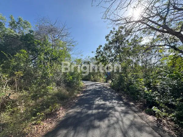 image TANAH 40 ARE ZONA HOLTIKULTURA LOKASI PREMIUM DI NUSA DUA BALI (6)