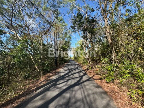 image TANAH 40 ARE ZONA HOLTIKULTURA LOKASI PREMIUM DI NUSA DUA BALI (7)