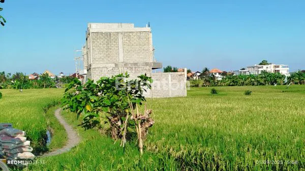 image DIJUAL TANAH LANGKA 1ARE DI PANTAI CEMAGI (5)