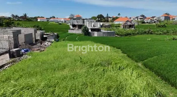 image OVERCONTRACT LAND 12 ARE IN PREMIUM PADONAN AREA (3)